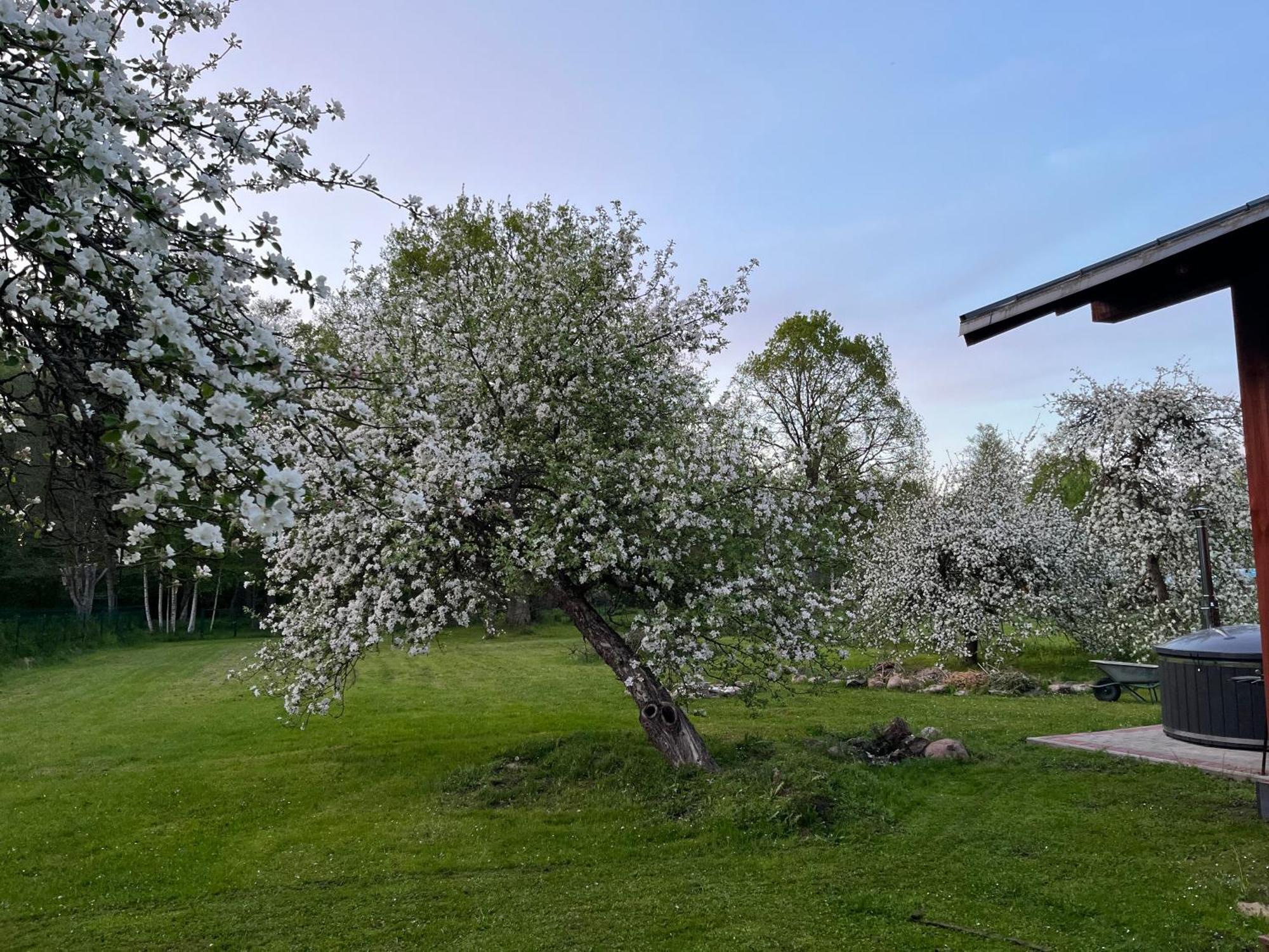 Auglu Ielas Pirts Maja Jūrkalne Exterior foto