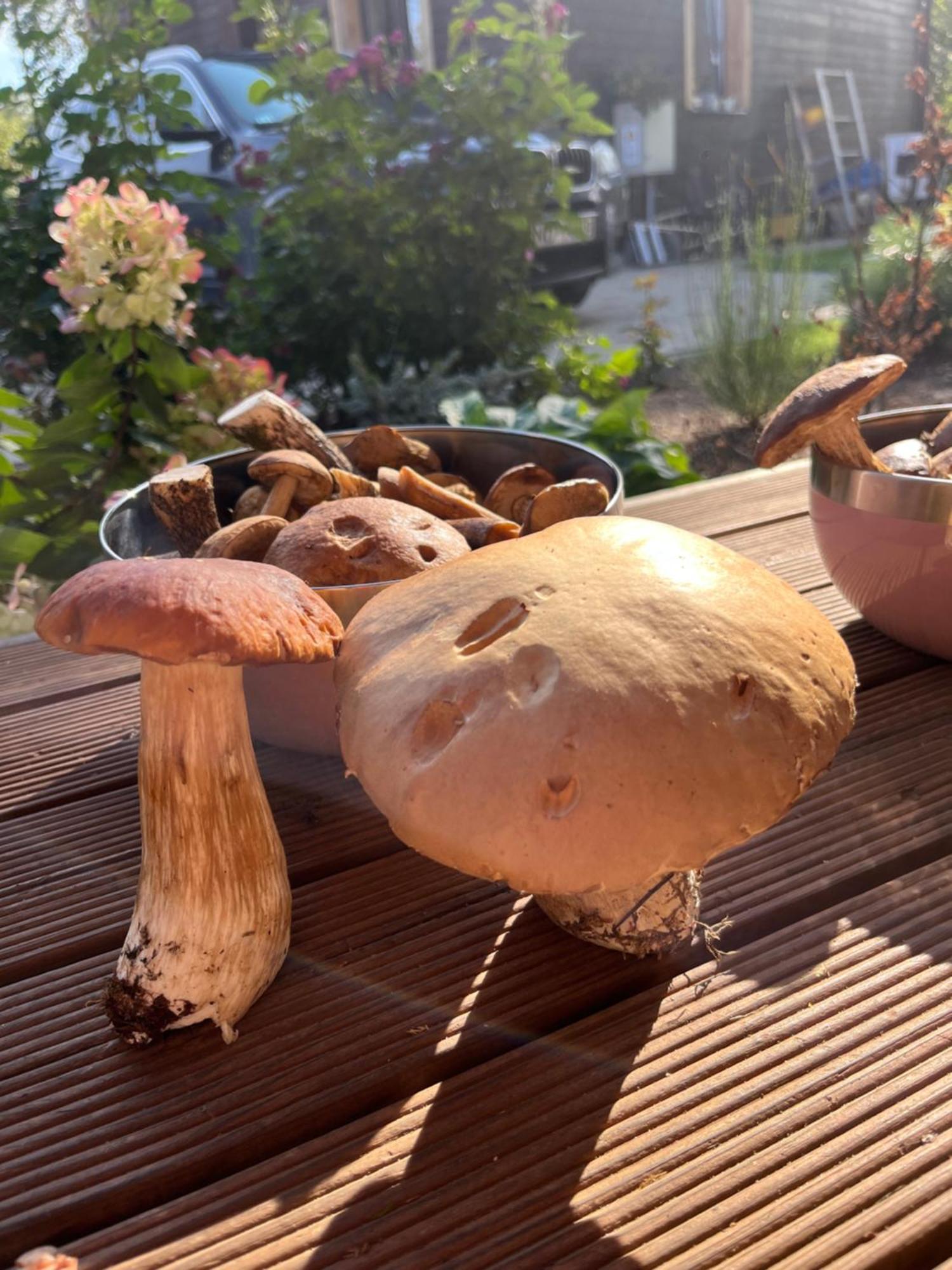 Auglu Ielas Pirts Maja Jūrkalne Exterior foto